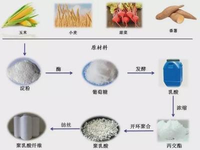 生物基材料成碳中和目标的“关键先生”?绿色低碳生活成主流