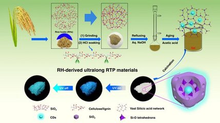 华南农大刘应亮教授团队生物质基碳点室温磷光材料研究获重要进展