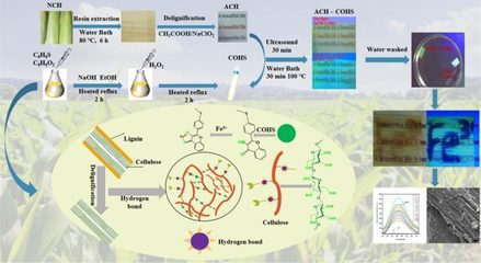 我校生物质基功能复合材料创新团队取得系列新成果