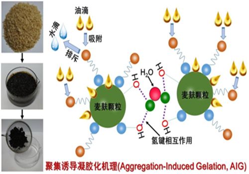 生物基凝油材料研究领域取得进展