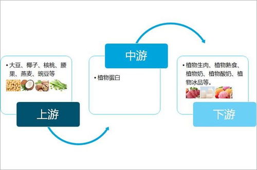 2021年全球及中国植物基行业市场规模及重点企业经营现状分析