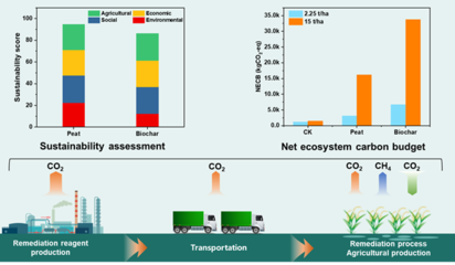 研究团队基于全生命周期揭示炭基材料促进稻田重金属污染可持续修复协同固碳
