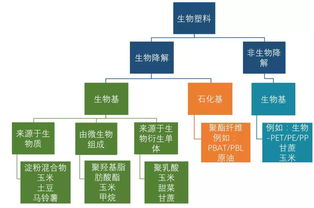 可降解塑料在城镇垃圾管理中,何去何从