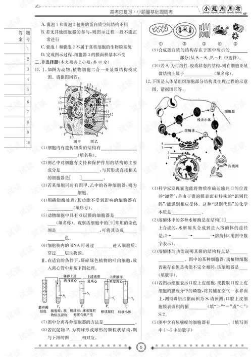 精品资料系列2021 高中生物小题量基础周周考.pdf