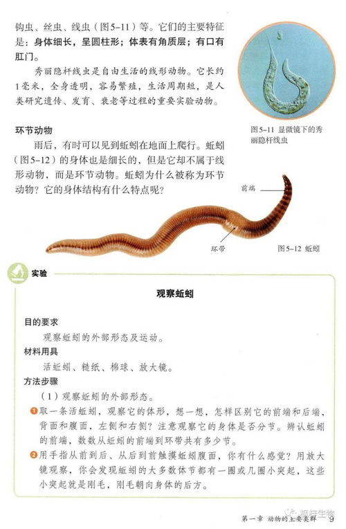 人教版八年级上册生物电子课本教材 高清pdf版