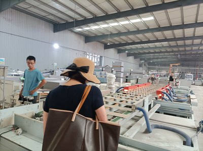 生物基可降解高分子木塑复合材料技术开发咨询服务