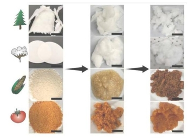 宾夕法尼亚州立大学利用生物基材料回收稀土元素