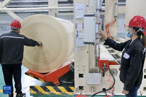 黑龙江大庆打造生物基新材料产业基地