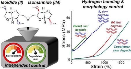 糖竟是可持续密钥?糖基环保塑料兼具机械特性和可降解双重优势
