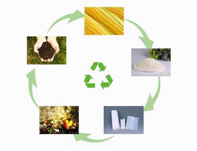 关于"生物基",大家知多少?加速"碳中和"的重要材料