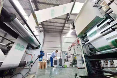 为治理白色污染提供 蚌埠方案 记第二届中国生物基材料产业发展大会