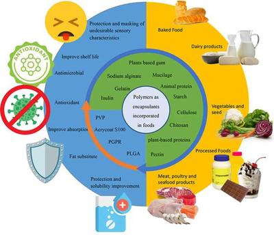 J. Future Foods | 食品中聚合物基包封材料的应用与进展