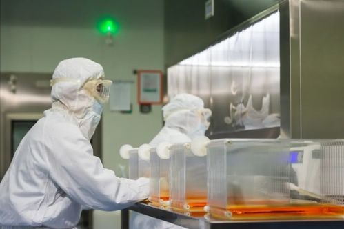 建交60载,中法关系的重要性不只在经济合作