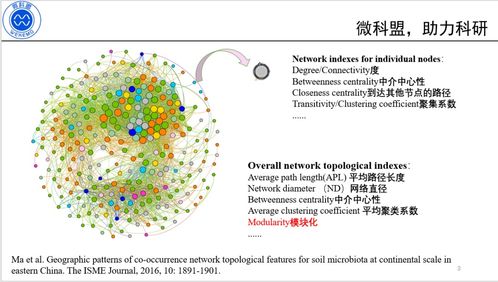 0基础学会构建微生物生态相关性网络