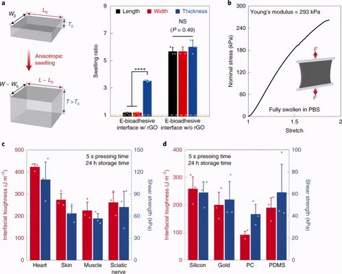 自然 材料 南科大郭传飞 麻省理工赵选贺团队 石墨烯可粘附生物电界面