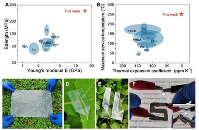 中国科大俞书宏院士团队研制可降解仿生透明薄膜