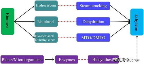 prog. poly. sci.综述 生物基高分子材料 结合化学合成与材料加工