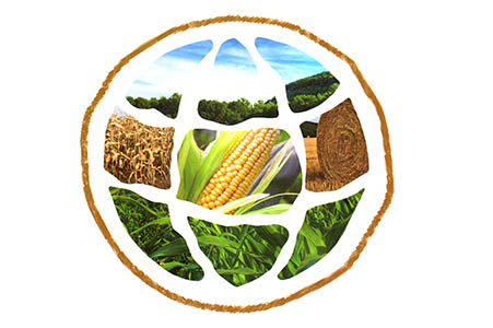 生物基材料聚乳酸pla将是助力绿色环保的未来之钥