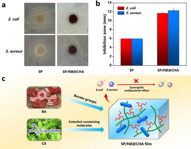 南京林业大学木材胶黏剂与复合材料团队在高强度,抗菌,阻燃生物基材料