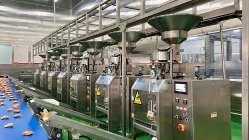 一片小锅巴,他为何做的风生水起,登上飞机 冠名高铁,还成 锅巴第一股