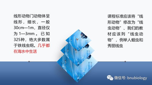 中学生物学课程目标由双基走向核心素养,在生物学课堂上我们该教给孩子们什么