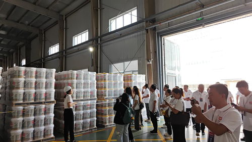 生态家园迈向高质量发展 市场细分与品质升级并行