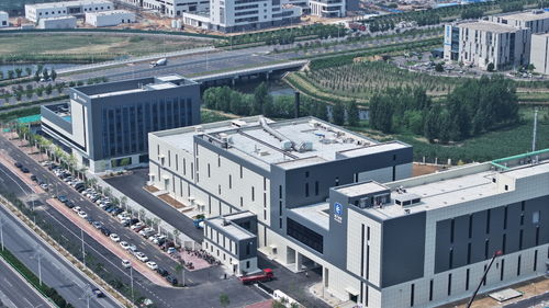 秦皇岛市北戴河新区微元合成阿洛酮糖正式获批新食品原料