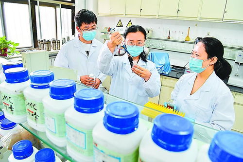 打一口井 留一片绿