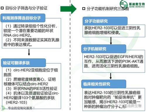 基迪奥客户再发环状rna翻译高分文章