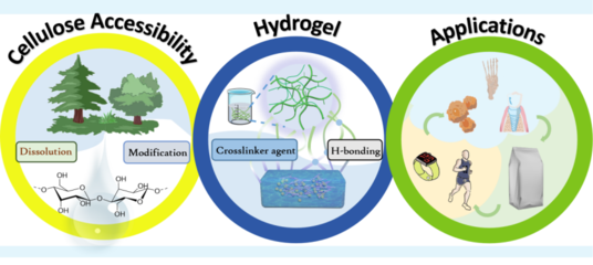 【学术进展】新疆农业大学李君副教授发表纤维素溶解、改性及材料调控的综述