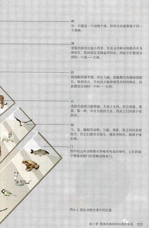 生物基材料 可持续发展中的绿色先锋