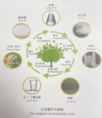 冬奥会餐盘 酸奶“亲戚”引领生物基材料新风尚