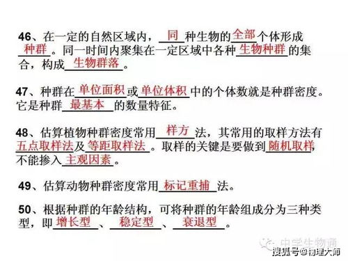 高中生物复习宝典 基础知识全览与生物化工产品技术研发入门
