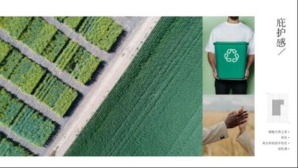 “森”生不息 图森2023年度家居流行色趋势概念发布与生物基材料的环保新篇