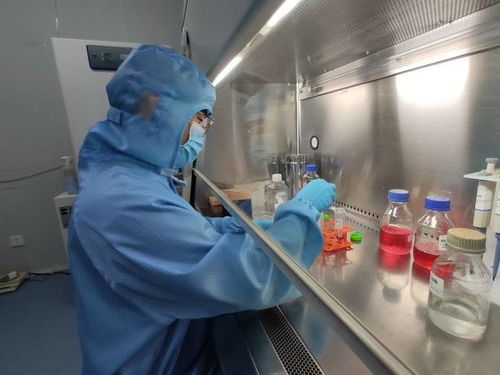 别人 放假 我上岗 细胞 管家 是我的工作,那就得干好它