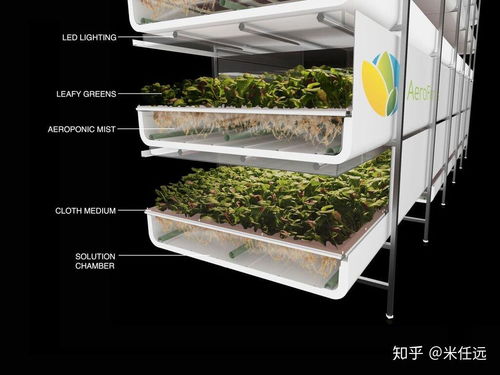 农学专业在中国有什么未来