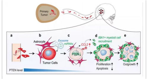 RNA世界的知识图谱与生物化工产品技术研发的精品项目
