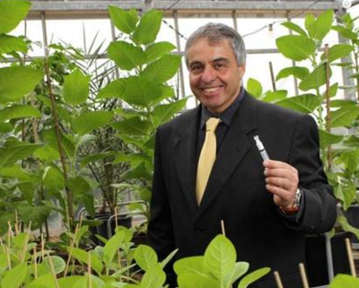 以色列生物科技新突破 利用烟草生产胶原蛋白及生物化工产品